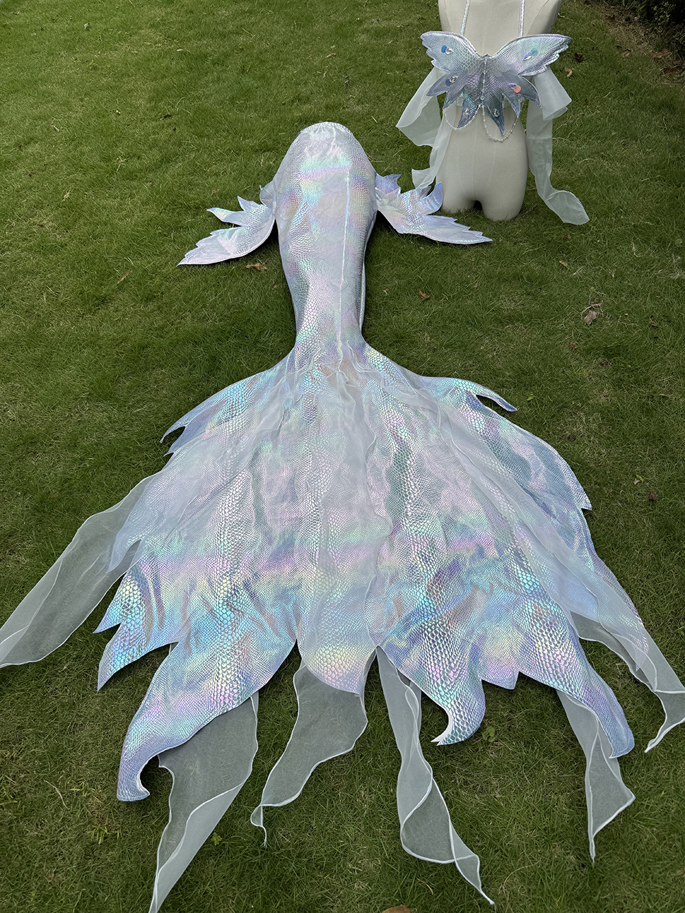 Img